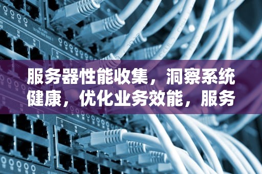 服务器性能收集，洞察系统健康，优化业务效能，服务器性能收集表