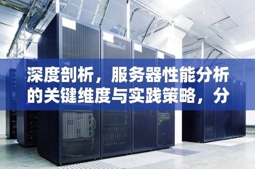 深度剖析，服务器性能分析的关键维度与实践策略，分析服务器性能参数