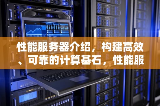 性能服务器介绍，构建高效、可靠的计算基石，性能服务器介绍图