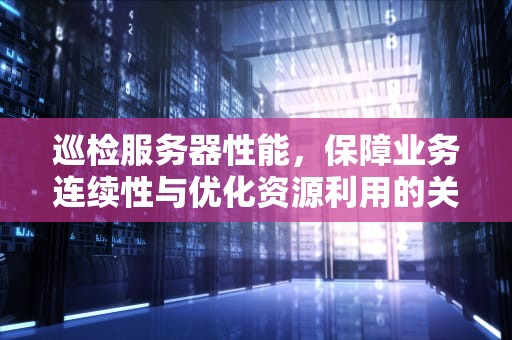 巡检服务器性能，保障业务连续性与优化资源利用的关键策略，巡检服务器有哪些指标