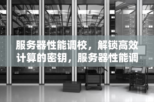 服务器性能调校，解锁高效计算的密钥，服务器性能调优