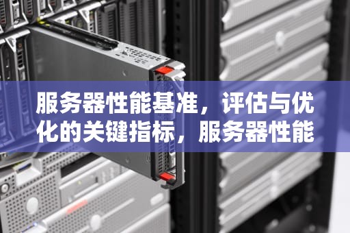 服务器性能基准，评估与优化的关键指标，服务器性能基准是什么