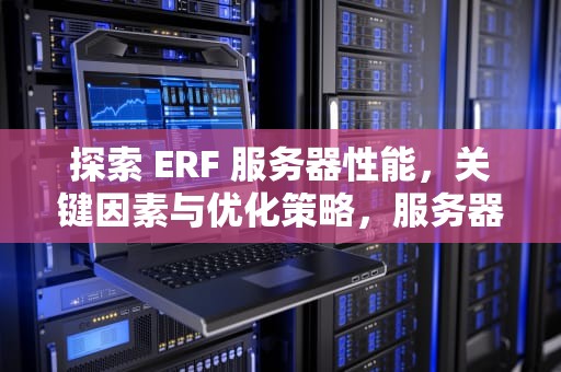 探索 ERF 服务器性能，关键因素与优化策略，服务器2u