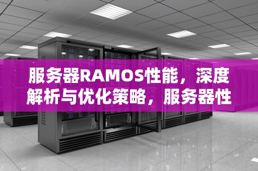 服务器RAMOS性能，深度解析与优化策略，服务器性能参数介绍