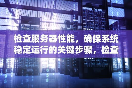 检查服务器性能，确保系统稳定运行的关键步骤，检查服务器性能的指令