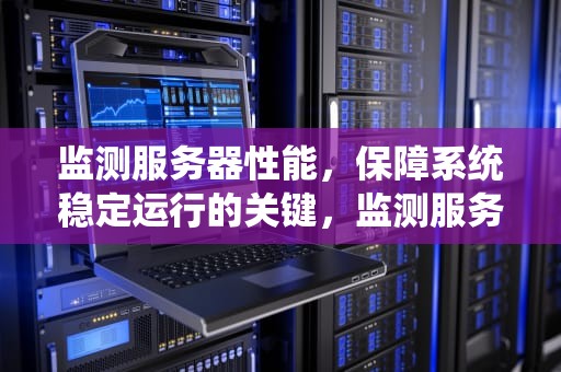 监测服务器性能，保障系统稳定运行的关键，监测服务器性能的软件