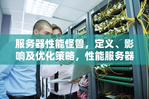 服务器性能怪兽，定义、影响及优化策略，性能服务器演示视频