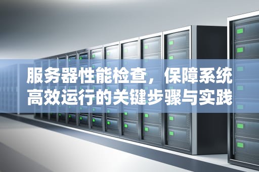 服务器性能检查，保障系统高效运行的关键步骤与实践，服务器性能检查软件