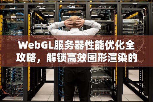 WebGL服务器性能优化全攻略，解锁高效图形渲染的密钥，web服务器性能调优