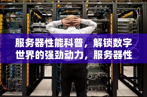 服务器性能科普，解锁数字世界的强劲动力，服务器性能参数介绍