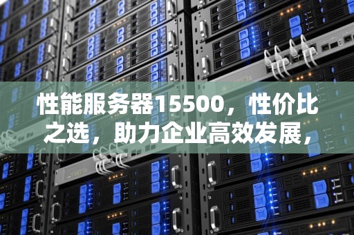 性能服务器15500，性价比之选，助力企业高效发展，性能服务器图片高清