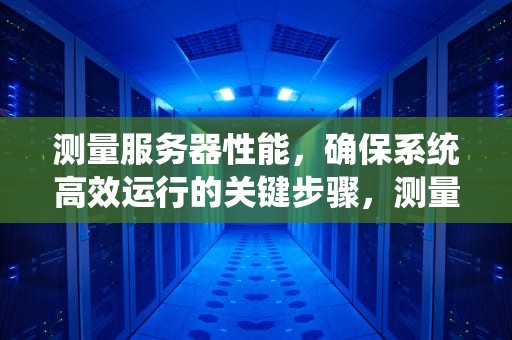 测量服务器性能，确保系统高效运行的关键步骤，测量服务器性能的软件