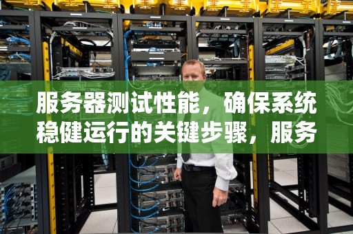 服务器测试性能，确保系统稳健运行的关键步骤，服务器测试性能代码