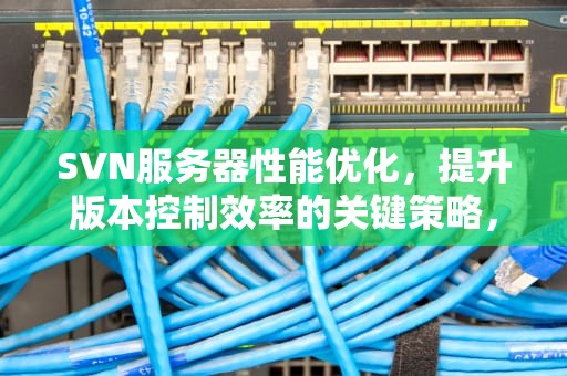 SVN服务器性能优化，提升版本控制效率的关键策略，svn服务器配置要求