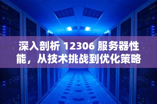 深入剖析 12306 服务器性能，从技术挑战到优化策略，e3 1230 v2服务器