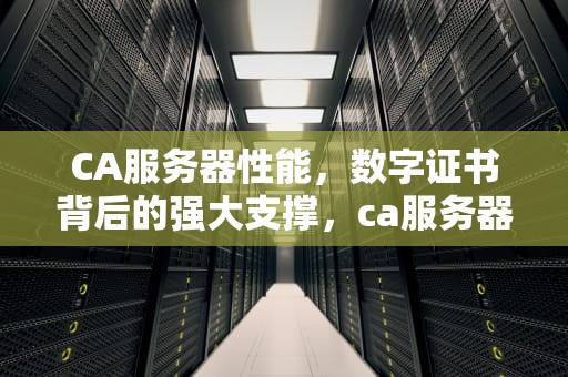 CA服务器性能，数字证书背后的强大支撑，ca服务器的作用