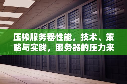 压榨服务器性能，技术、策略与实践，服务器的压力来自哪里