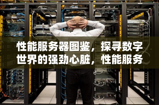 性能服务器图鉴，探寻数字世界的强劲心脏，性能服务器图鉴在哪