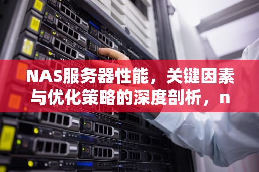 NAS服务器性能，关键因素与优化策略的深度剖析，nas性能要求