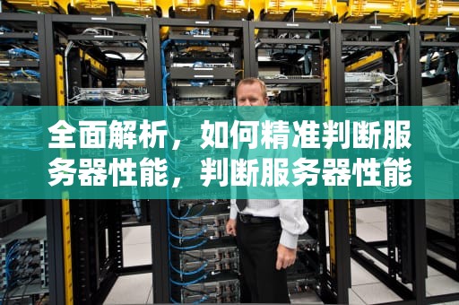 全面解析，如何精准判断服务器性能，判断服务器性能的指令