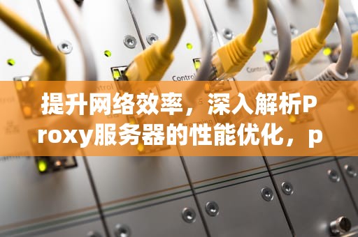 提升网络效率，深入解析Proxy服务器的性能优化，proxy服务器是什么意思