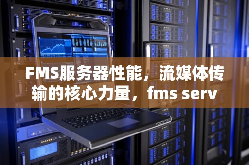 FMS服务器性能，流媒体传输的核心力量，fms server