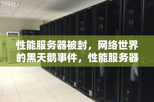 性能服务器被封，网络世界的黑天鹅事件，性能服务器演示视频