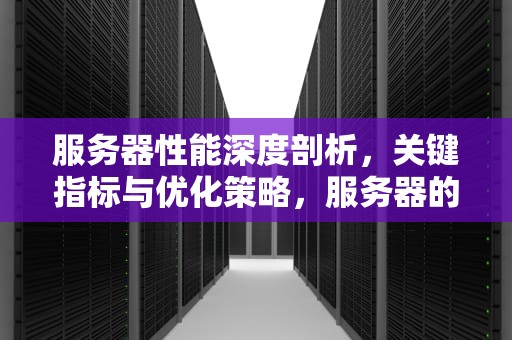 服务器性能深度剖析，关键指标与优化策略，服务器的性能