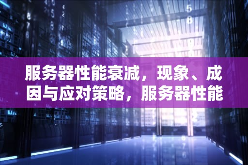 服务器性能衰减，现象、成因与应对策略，服务器性能衰减怎么解决