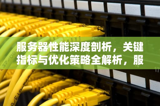 服务器性能深度剖析，关键指标与优化策略全解析，服务器性能指标有哪些