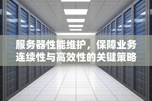 服务器性能维护，保障业务连续性与高效性的关键策略，服务器性能维护方案