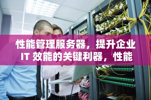 性能管理服务器，提升企业 IT 效能的关键利器，性能管理服务器有哪些