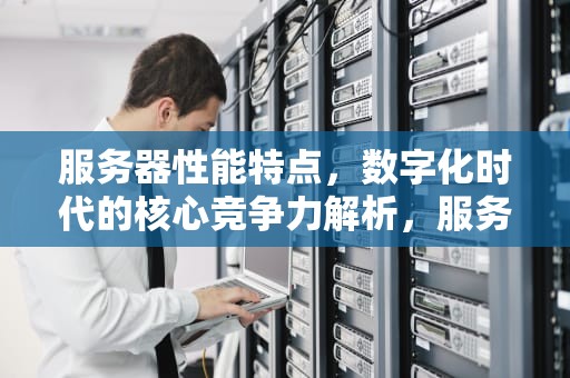 服务器性能特点，数字化时代的核心竞争力解析，服务器性能特点有哪些