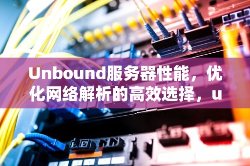 Unbound服务器性能，优化网络解析的高效选择，unbound配置