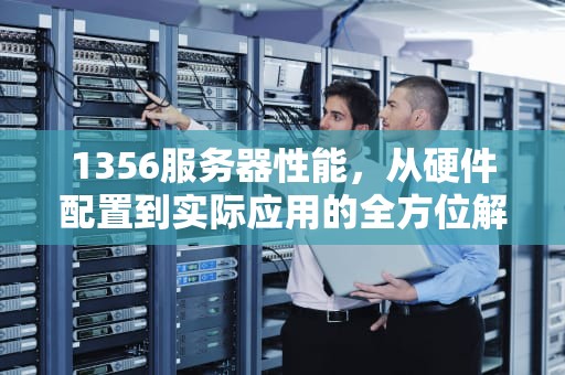 1356服务器性能，从硬件配置到实际应用的全方位解析，服务器1333和1600