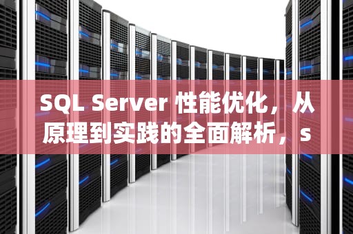 SQL Server 性能优化，从原理到实践的全面解析，sql 服务器