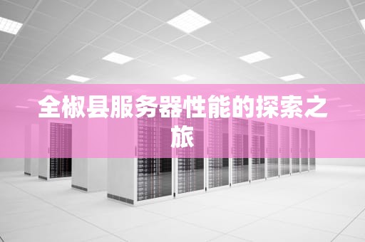 全椒县服务器性能的探索之旅