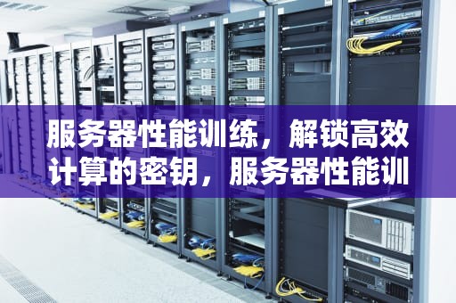 服务器性能训练，解锁高效计算的密钥，服务器性能训练软件