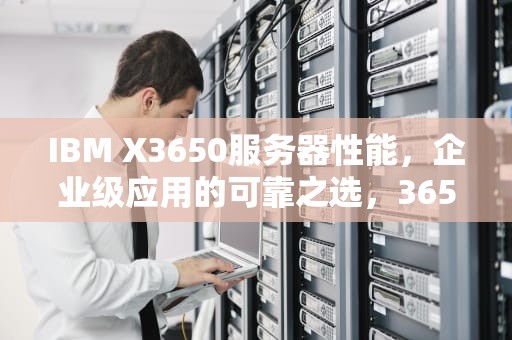 IBM X3650服务器性能，企业级应用的可靠之选，3650服务器功率多少瓦