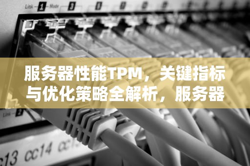 服务器性能TPM，关键指标与优化策略全解析，服务器性能指标有哪些