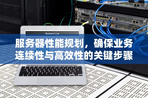 服务器性能规划，确保业务连续性与高效性的关键步骤，服务器性能规划怎么写