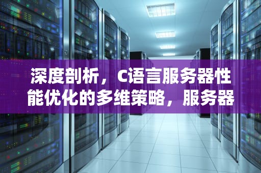 深度剖析，C语言服务器性能优化的多维策略，服务器系统c