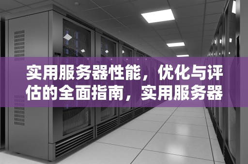 实用服务器性能，优化与评估的全面指南，实用服务器性能测试