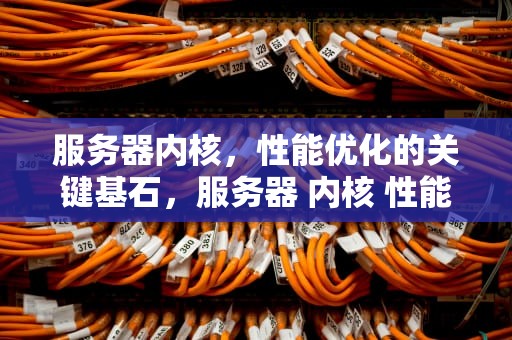 服务器内核，性能优化的关键基石，服务器 内核 性能怎么看