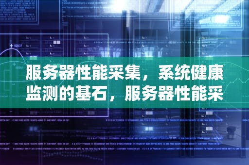 服务器性能采集，系统健康监测的基石，服务器性能采集怎么设置