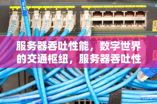 服务器吞吐性能，数字世界的交通枢纽，服务器吞吐性能测试