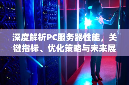 深度解析PC服务器性能，关键指标、优化策略与未来展望，服务器性能和pc相比