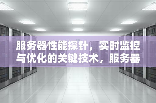 服务器性能探针，实时监控与优化的关键技术，服务器性能探针是什么