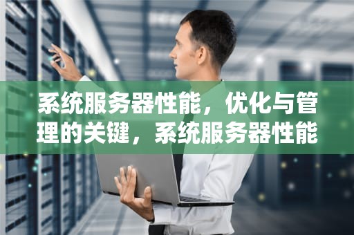 系统服务器性能，优化与管理的关键，系统服务器性能报告表格Excel