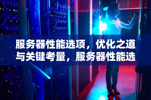 服务器性能选项，优化之道与关键考量，服务器性能选项在哪
